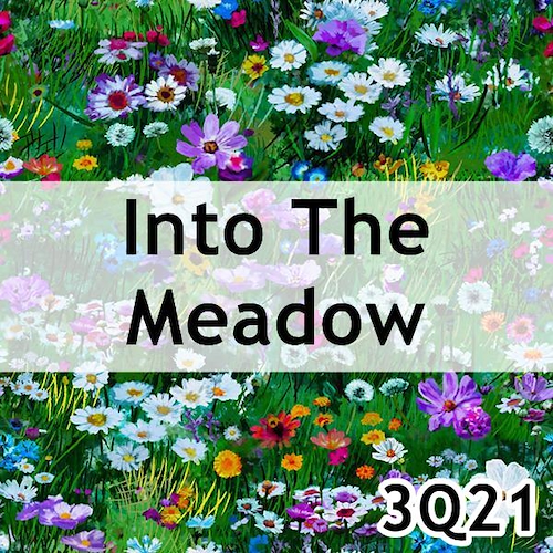 Into The Meadow
